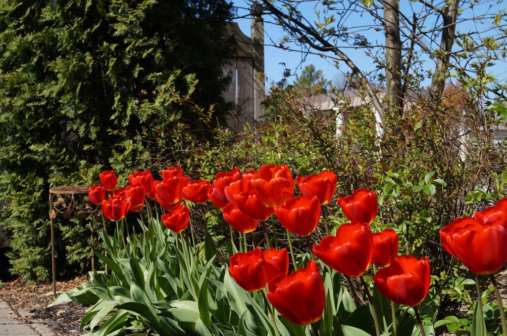 Bed and Breakfast In Elegance Niagara-on-the-Lake Zewnętrze zdjęcie